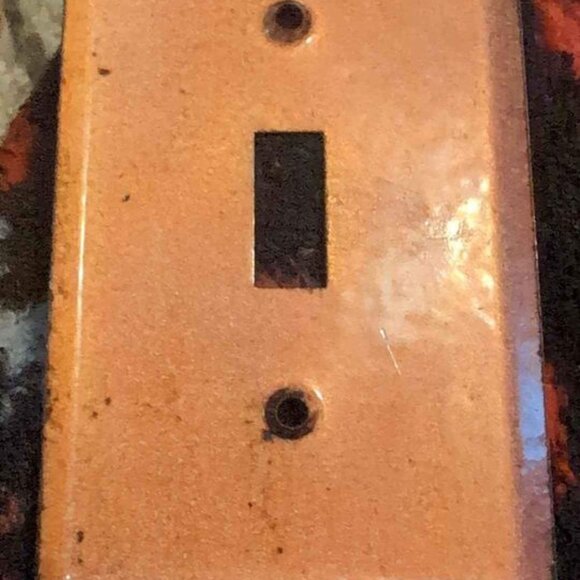 Single Toggle Cardinal Light Switch Covers - Picture 3 of 5